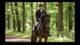 Whisk 751b552a9d5d0d38983449253edc78bddr png