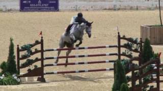 Video of STACKFLETH ridden by PABLO BARRIOS from ShowNet!