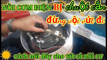 🔴Hướng dẫn nối dây điện cho tất cả nồi cơm điện.dành cho người chưa biết?.ĐIỆN MÁY ÁNH TÝ 92