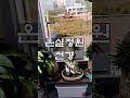 햇살처럼난방기 구미 루프탑 온실 정원 시공 영상