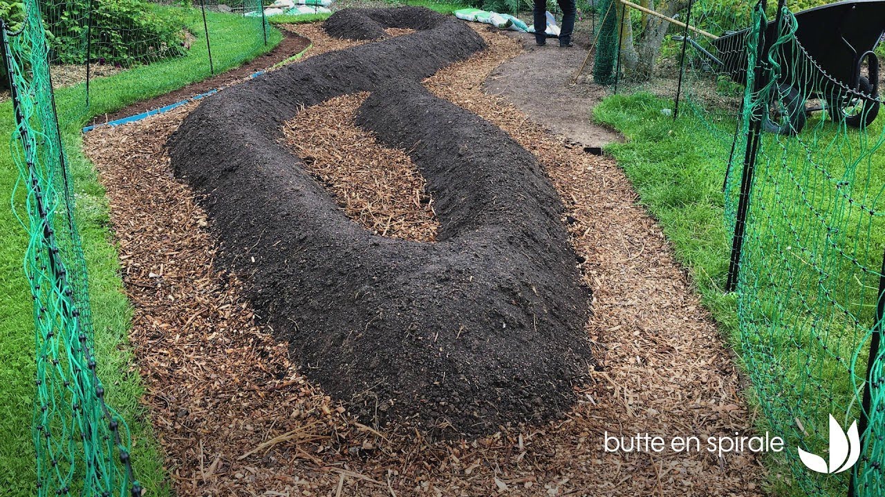 Bilan et suivi des cultures sur buttes (Permaculture) - Truffaut