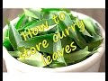 How to store | freeze  Curry Leaves | RinkusRasoi