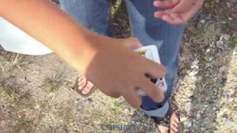 Clipshift by Chad Nelson