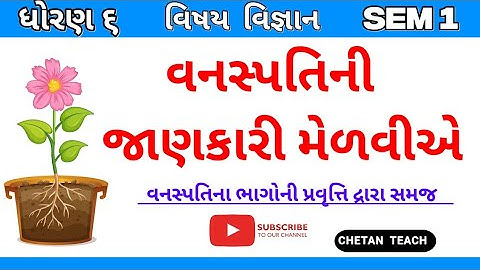 વનસ્પતિની જાણકારી મેળવીએ | Vanaspati ni jankari melviye std 6