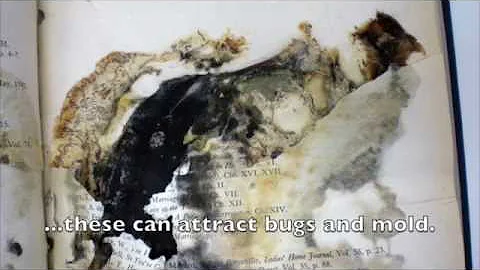 DUL Conservation Services: Care and Handling