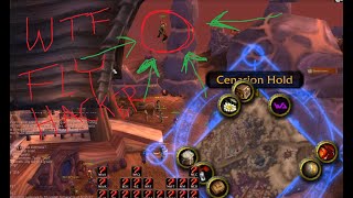 Fly hacking is back BABY