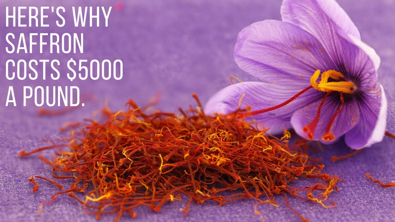 Here's why saffron costs 5000 a pound. YouTube