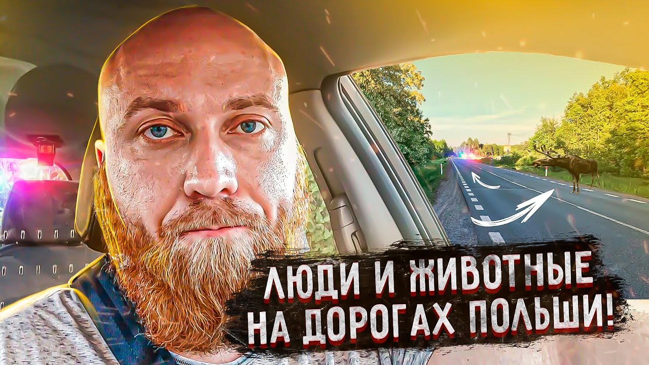 Приснилось потерять машину