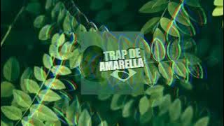 🎶Amadela Amadela DJ TRAP REMIX DE AMARELA TIKTOK (Romyomy Remix)