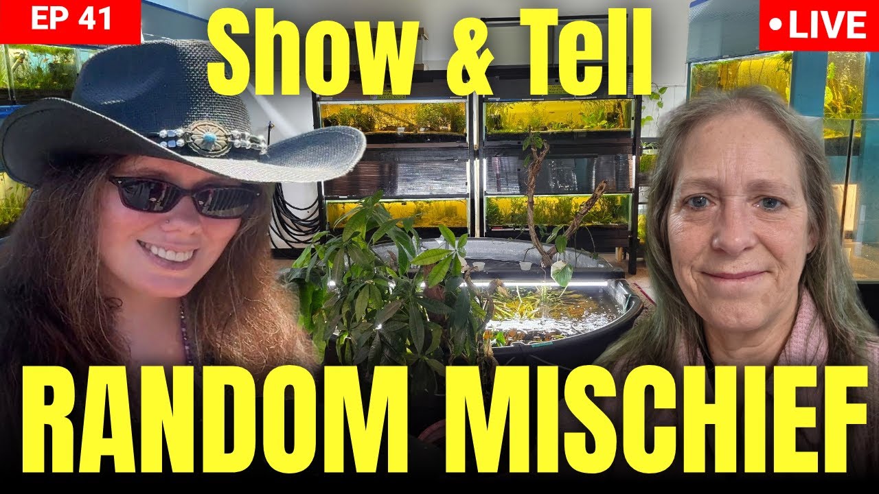 Random Mischief Show and Tell Hangout - Show off your fish tanks, pets and hobbies - EP 41th