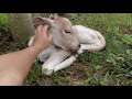 f2 動画写真3c
