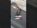 Ford Kuga Unlikely Battery Drain