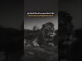 a lion sleep in all human to heart