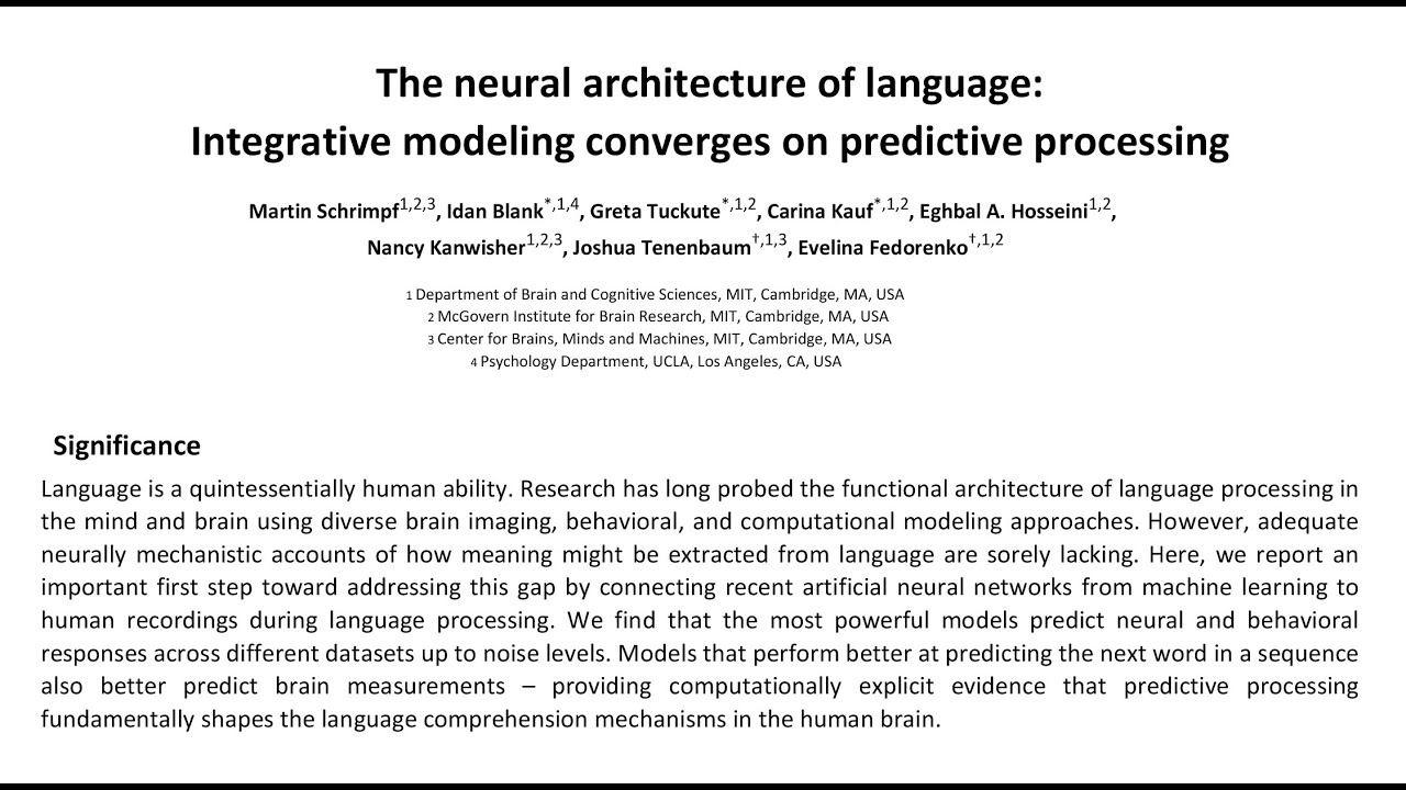 Artificial intelligence sheds light on how the brain processes