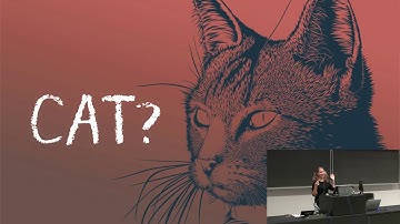 Race for the Galaxy: Neural Networks In Production