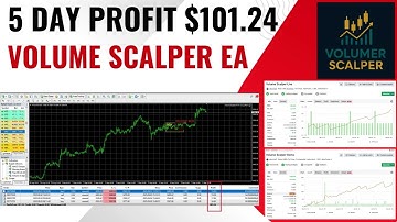 Volume Scalper MT4 EA Review | $101.24 Profit in 5 Days | Forex Robot Test