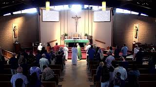 16th Sunday in Ordinary Time - 07/19/2026