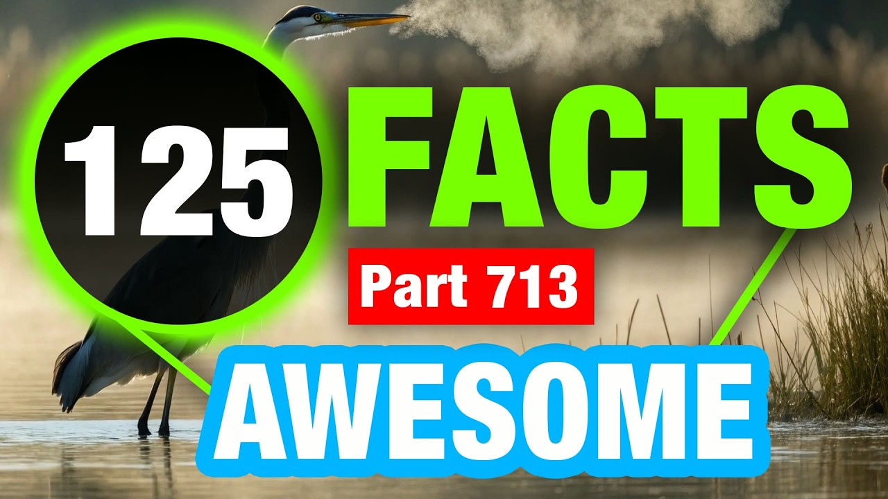 125 Amazing Facts to Blow Your Mind | Incredible Weird Facts - YouTube