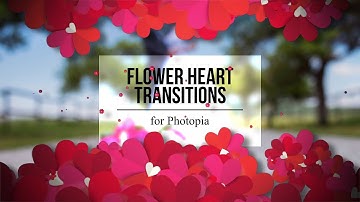 Flower Heart Transitions for Photopia