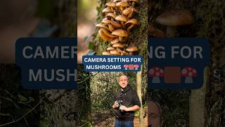 Why Your Mushroom Photos Don't Look Like This