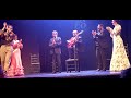 EMOCIONES. TEATRO FLAMENCO MADRID. CUADRO FINAL