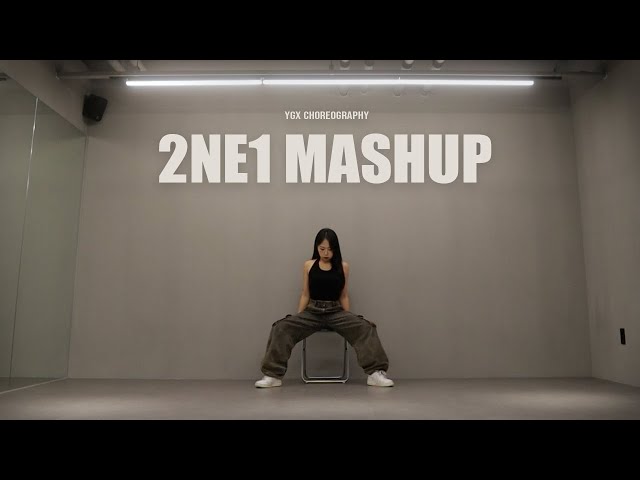 [ '2NE1 Mash Up' 안무 거울모드 MIRRORED | 커버댄스 DANCECOVER | 1인안무 ] class=