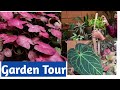 A garden full of bamboo pots| garden tour Malayalam