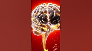 This Is What a Burger Really Does Inside You – Realistic 3D Anatomy