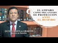 EL AMPARO COMO MECANISMO DE PROTECCIÓN ANTE EL DESPIDO - Tribuna Constitucional 104