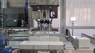 Custom Made Automatic Packing machine