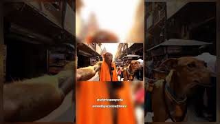 how to make a ai monkey vlogger/ blogger(AI से बंदर की वीडियो ब्लॉक कैसे बनाएं