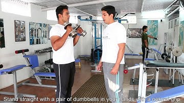Biceps: Dumbbell Hammer Curl, Tutorials by Rao