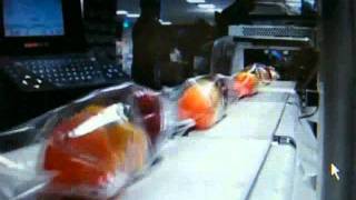 Film Flowpacker Paprika Stoplicht.wmv