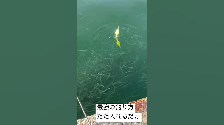 最強の釣り方　#shorts  #つり　#アジング　#つりチャンネル