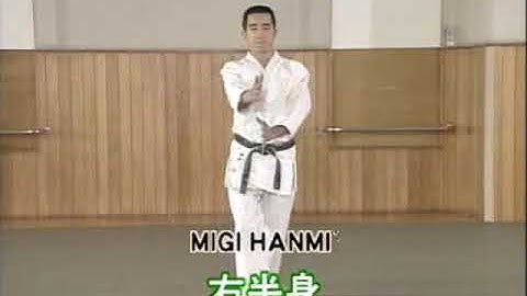 Migi Hanmi Kamae