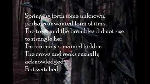 Petit musée: Emanations of Richard Moult