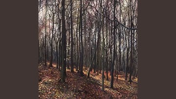 Apollo Winceleseia I