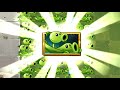 Plants Vs Zombies 2 Nueva Planta Enredadera Guisante