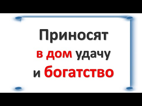 Приносят в дом удачу и богатство: лучшие имена для кошек и котов