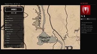 Elysian Pool is there something behind the waterfall Red Dead Redemption 2