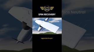 Spin Recovery 😵‍💫🛩️
