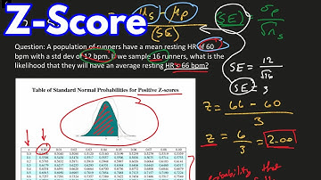 How to Use Z Score and Standard Error to Determine Sample Probability in Statistics