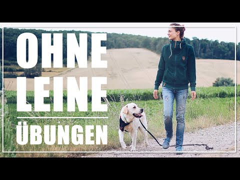 ENTSPANNT OHNE LEINE