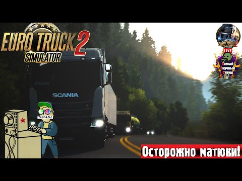 Видео: Euro Truck Simulator 2 | ETS 2 ЕТС 2 | Молчим  #стрим #ets2 #eurotrucksimulator2