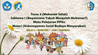 Kelas 5 Tema 3 Subtema 1 Mata Pelajaran PPKn (Keberagaman Sosial Budaya Masyarakat)