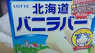 ロッテ北海道バニラバー食べてみた‼️