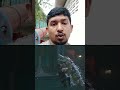 bmg rajasab movie trailer.. #shorts #rajasaab #action #bollywood #trailer #bollywoodsuperstar