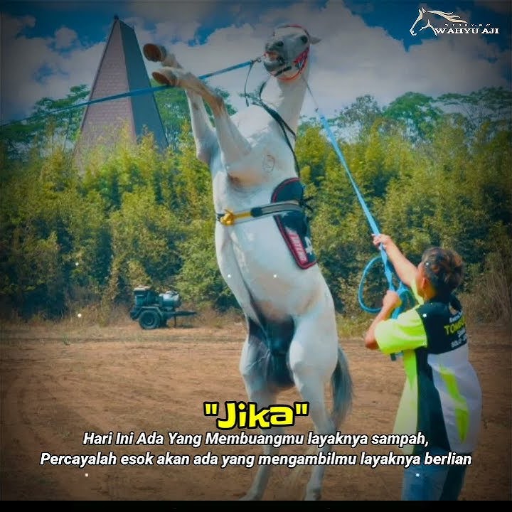 story' wa pacuan kuda