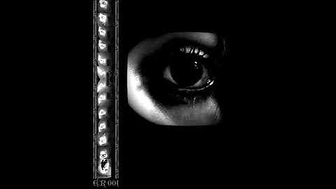 In Formaldehyde - Abattoir