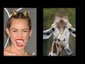 Funny Look Alikes of people and celebrities 2016